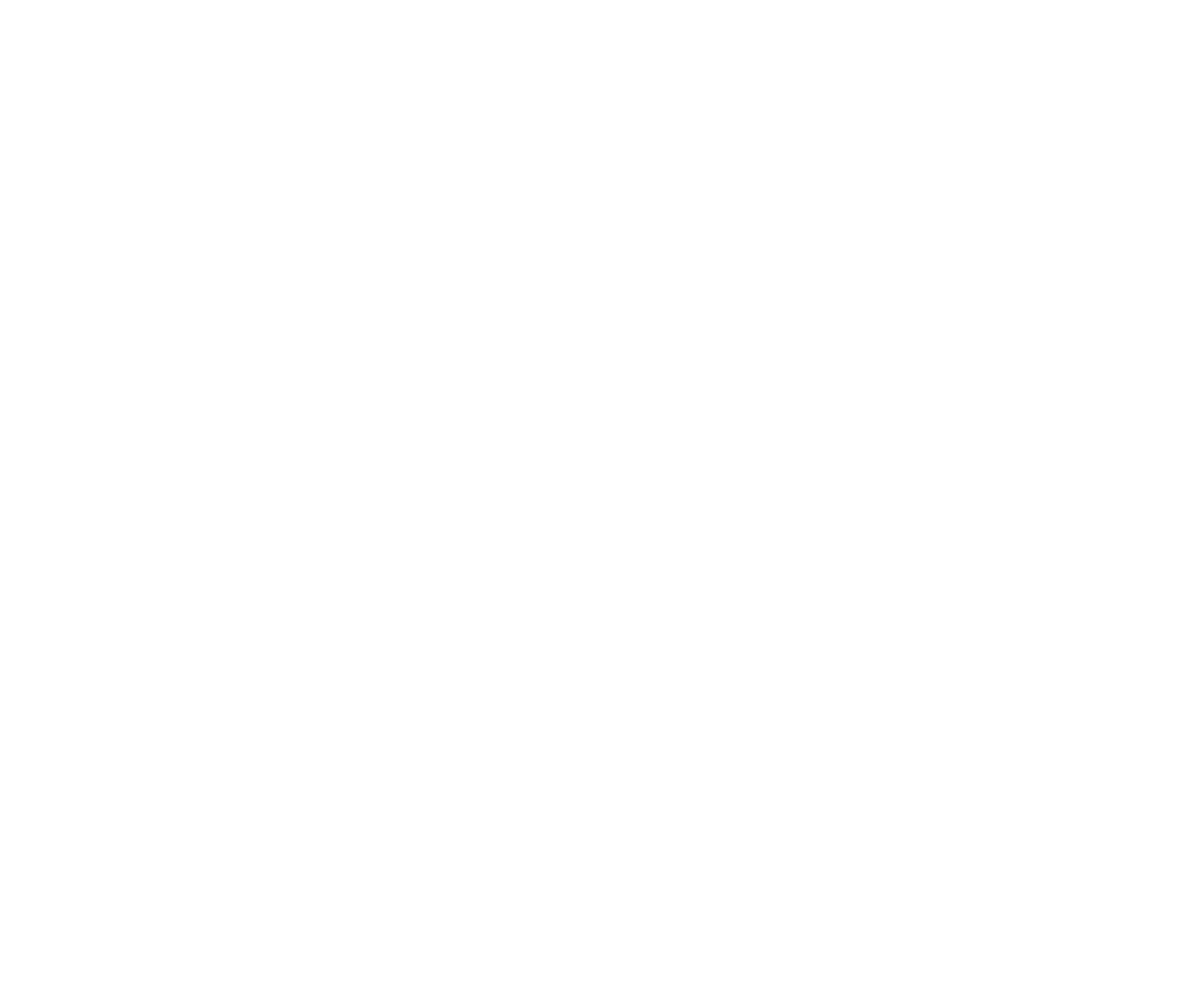NJS ZX-1R